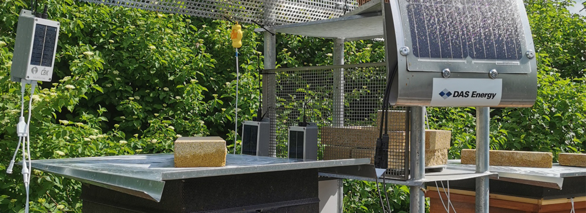 DAS Energy solar modules for "bee tile ovens"